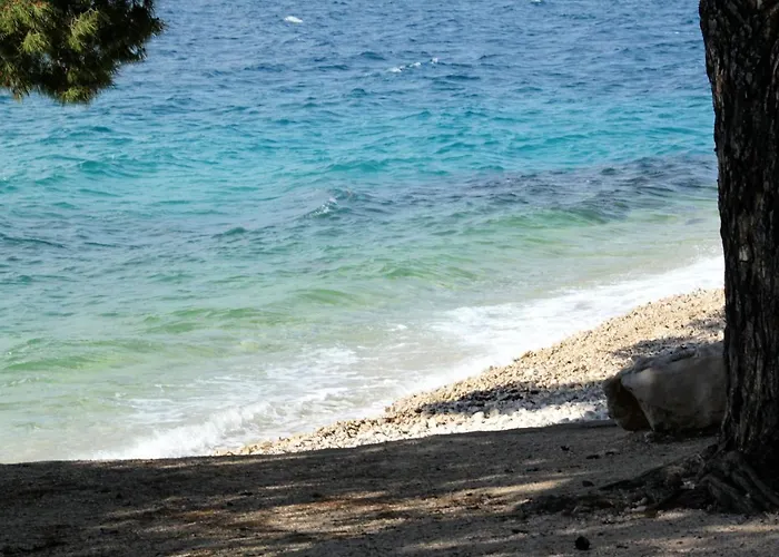 By The Sea Petrcane, Zadar - 11555 Апартаменты